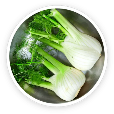 Fennel seeds, an ingredient in PrimeBiome