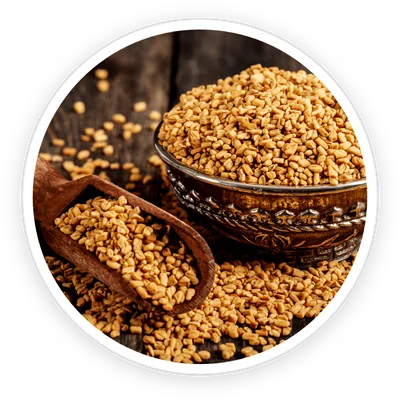 Fenugreek seeds, an ingredient in PrimeBiome