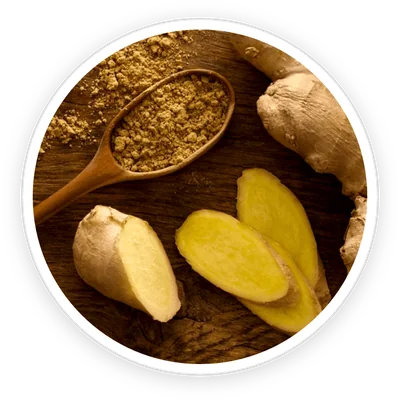 Ginger root, an ingredient in PrimeBiome